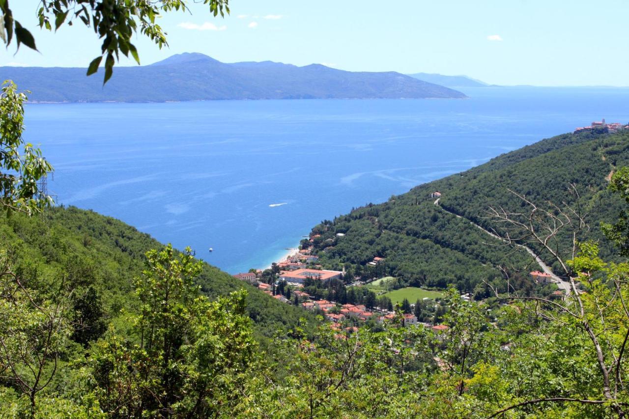Apartments With A Parking Space Moscenicka Draga, Opatija - 7766 المظهر الخارجي الصورة